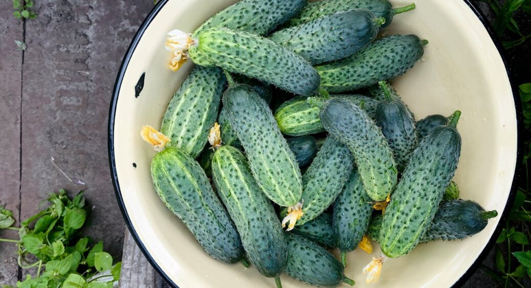 Майже 10 років тільки так саджають огірки моя мама і свекруха. Завжди є врожай: навіть у найгірший рік 