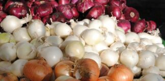 Чим удобрити грядку для цибулі