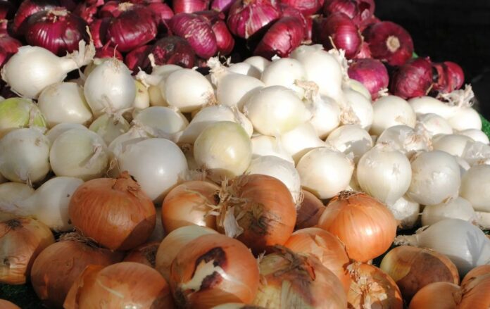 Чим удобрити грядку для цибулі