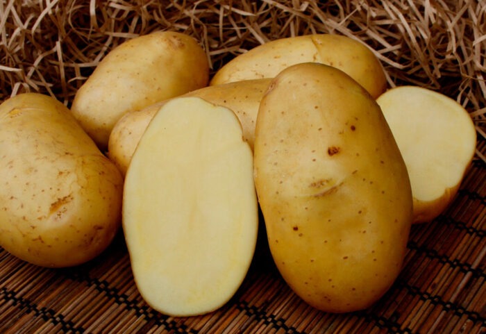 Експерти назвали найкращий сорт картоплі для вирощування у відкритому ґрунті, який дає багато врожаю