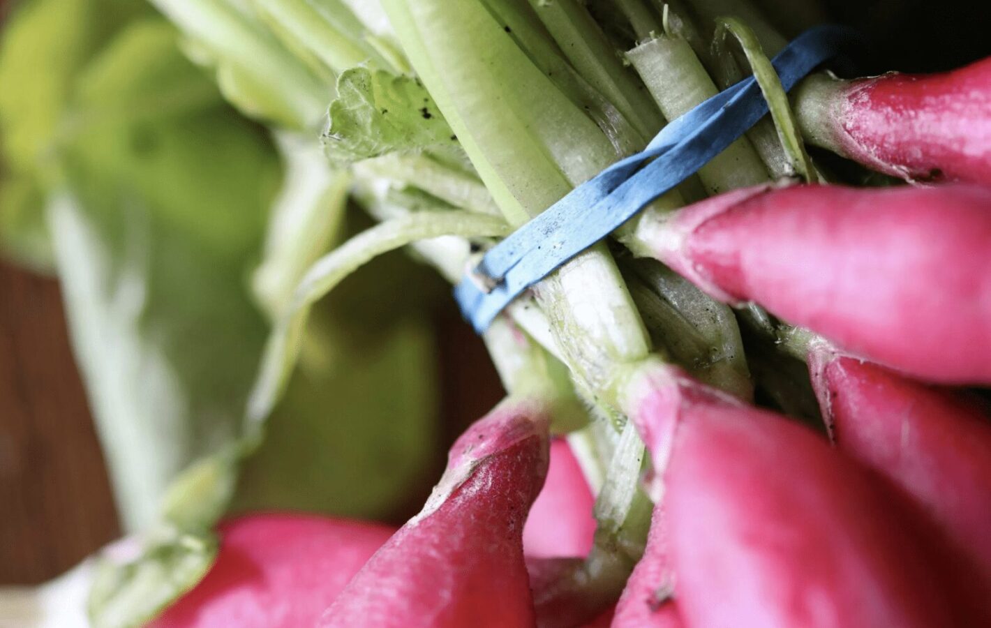 Що додати до лунки під час посіву редиски, щоб отримати багатий врожай