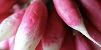 Що додати до лунки під час посіву редиски, щоб отримати багатий врожай