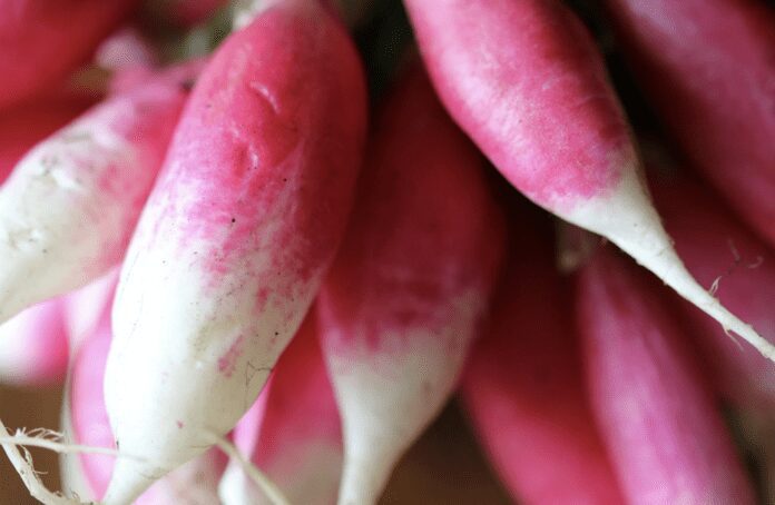 Що додати до лунки під час посіву редиски, щоб отримати багатий врожай