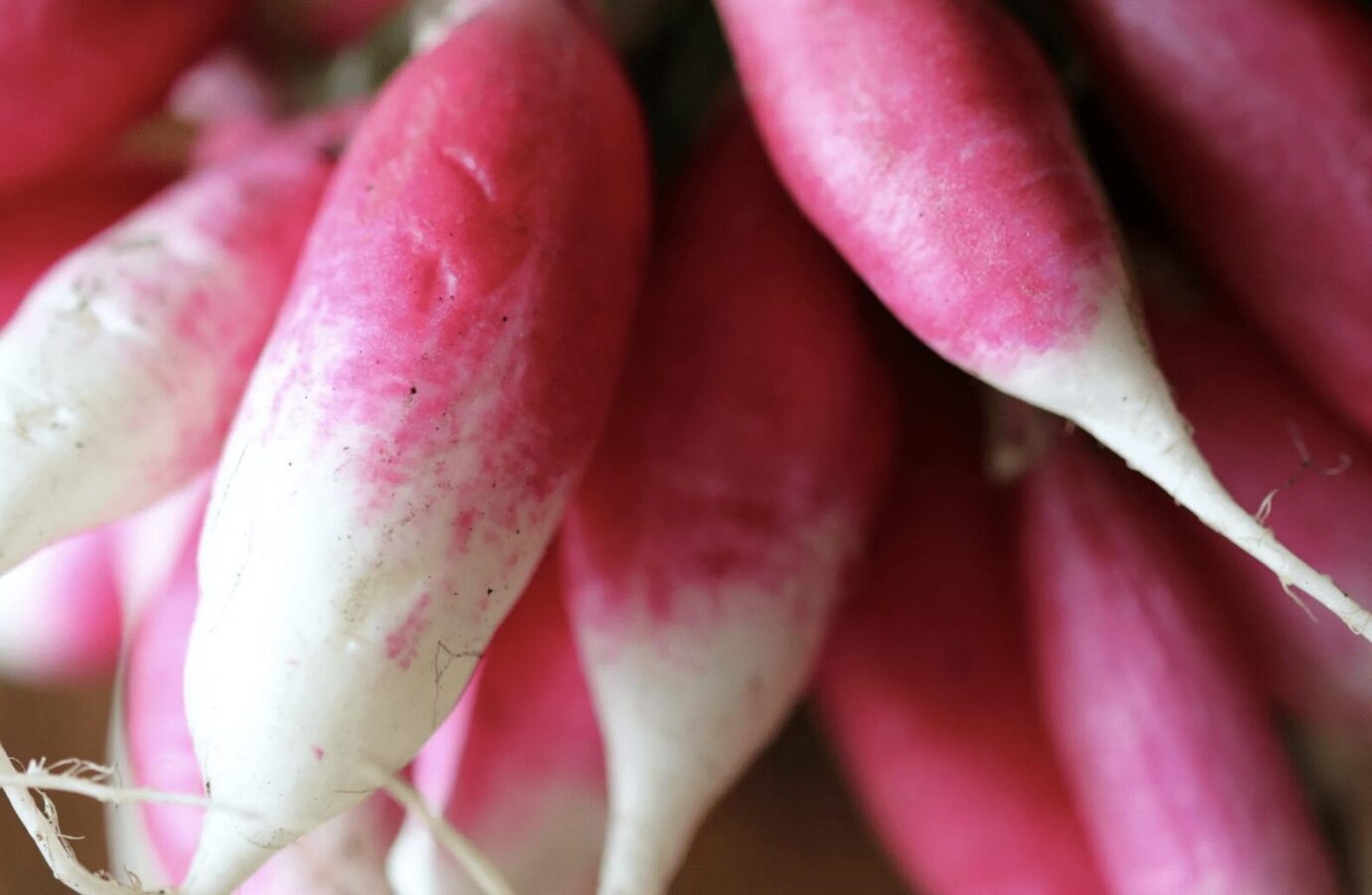 Що додати до лунки під час посіву редиски, щоб отримати багатий врожай