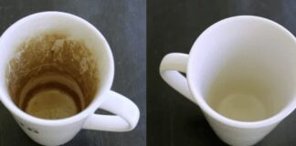 Господині назвали способи боротьби з плямами від кави та чаю