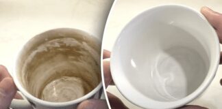 Як відчистити наліт з чашок за 5 хвилин