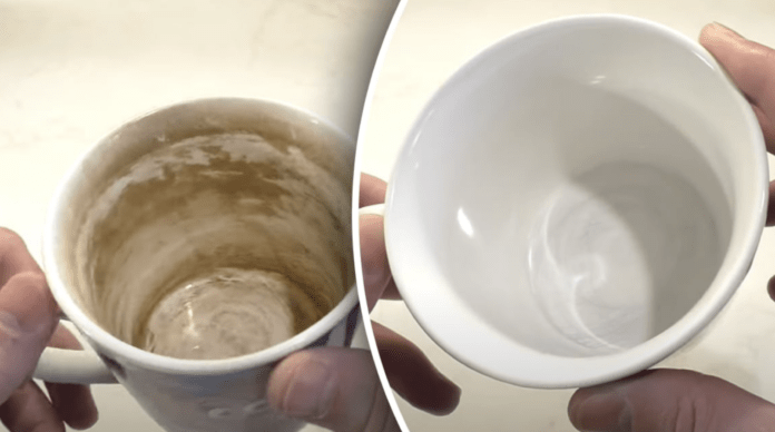 Рецепт домашнього мийного засобу проти нальоту від кави та чаю