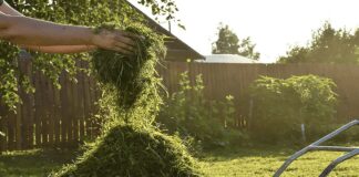 Рецепт добрива зелена бродилівка в домашніх умовах