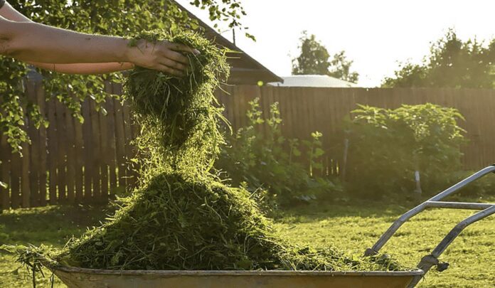 Рецепт добрива зелена бродилівка в домашніх умовах