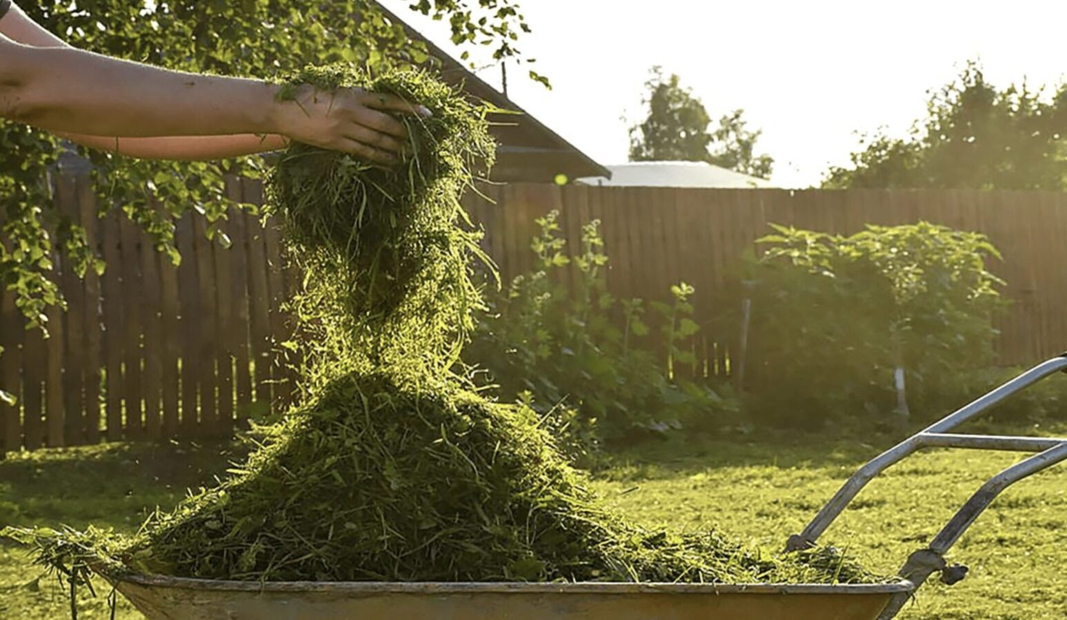 Рецепт добрива зелена бродилівка в домашніх умовах
