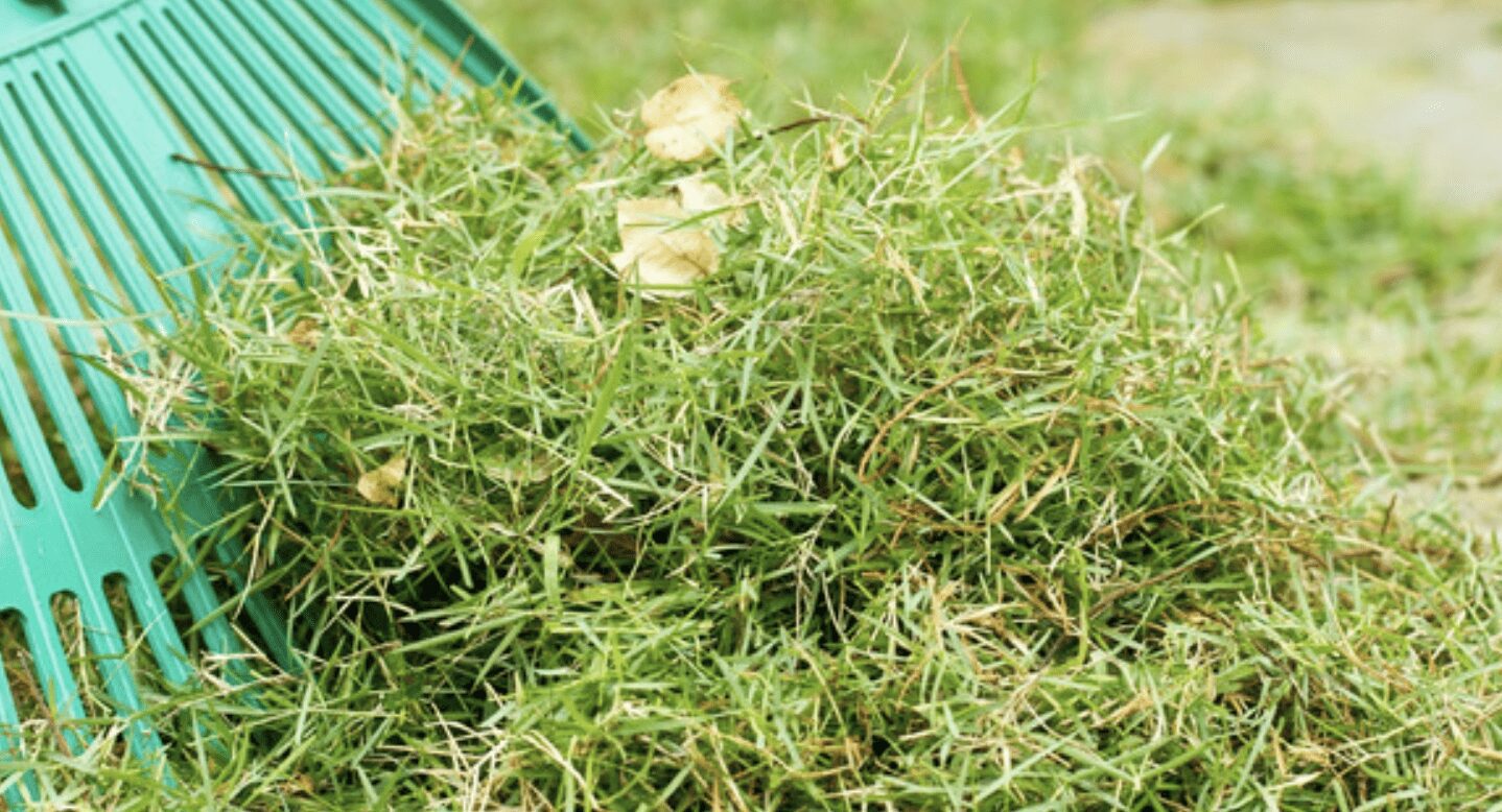 Рецепт добрива зелена бродилівка в домашніх умовах