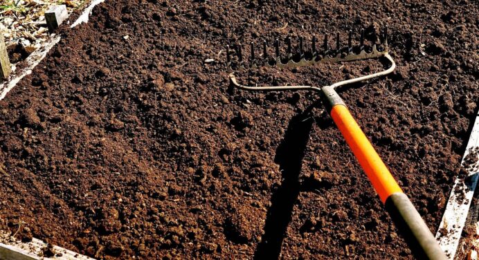 Не чіпайте насіння і розсаду, бо нічого не вродить: два несприятливих дні для городніх робіт у квітні 2024 