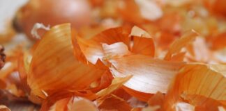 Експерти розповіли про дієве підживлення для розсади