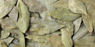 Навіщо класти в горщик з розсадою популярну пряність