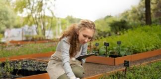 Ці добрива краще не використовувати ніколи 