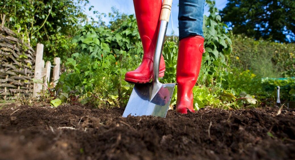 Що робити, якщо виснажується ґрунт на городі: методи покращення якості землі. Прості й ефективні способи 