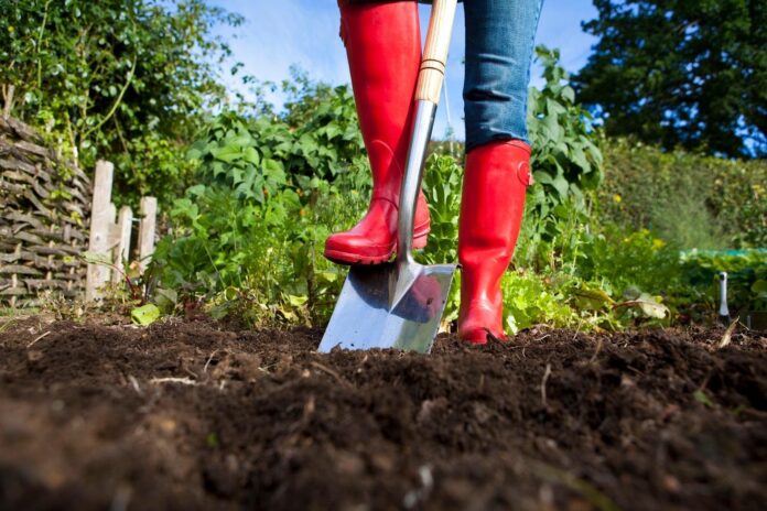 Як покращити якість виснаженого ґрунту