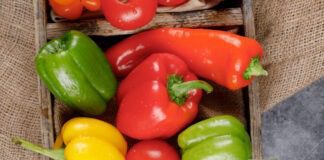 Городники назвали найкращий сорт помідорів: порада 