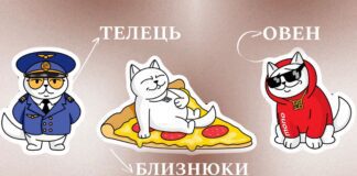 Перевірте, який ви котик з Монобанку