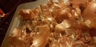 Народний метод для потужного розвитку розсади