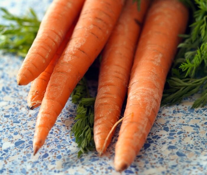 Експерти розповіли про основні правила догляду за морквою для кращих сходів у відкритому ґрунті