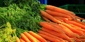 Правила посіву моркви