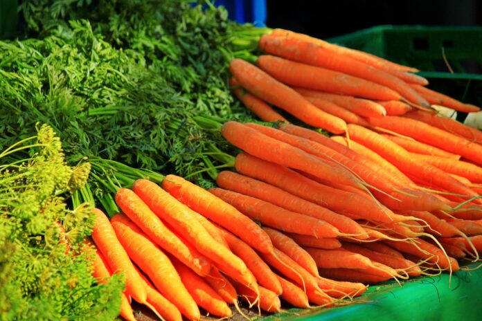 Правила посіву моркви
