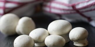 Як з легкістю виростити печериці на своєму підвіконні 