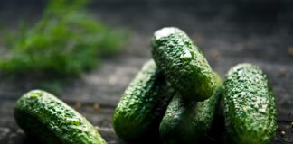 Експерти розповіли, чому огірки гірчать і як цього уникнути
