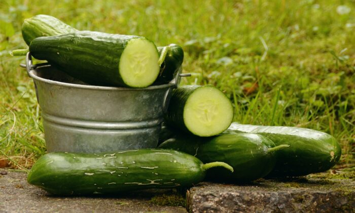 Експерти розповіли, чим правильно поливати огірки для набагато кращого та смачнішого врожаю