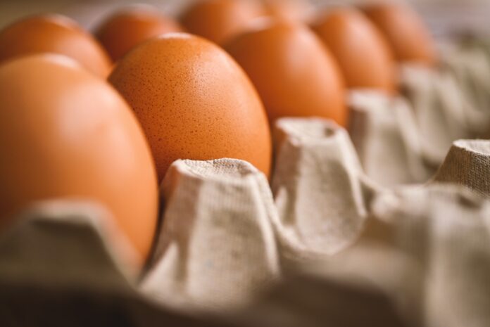 Як зробити ідеальну клумбу за допомоги лотків від яєць