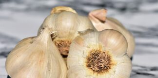 Що додати в лунку до часника