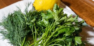 Помилки у вирощуванні зелені