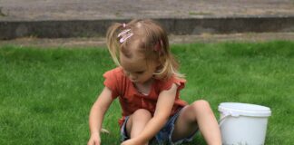 Експерти розповіли, що посіяти на газоні, аби майже не косити його