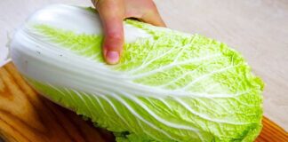 Експерти назвали найкращий сорт пекінської капусти