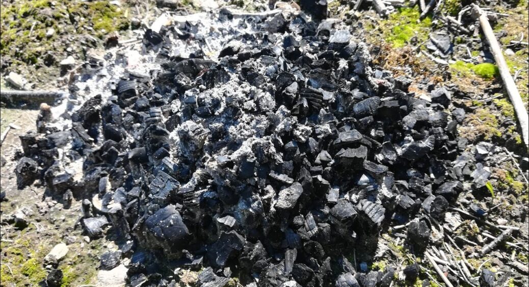Земля в захваті від такої прикормки: як обрати правильне мінеральне добриво для конкретно вашого ґрунту 