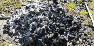 Садівники назвали найкраще мінеральне добриво