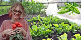 Садівники назвали найкращі культури, які потрібно посіяти в травні