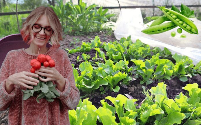 Садівники назвали найкращі культури, які потрібно посіяти в травні