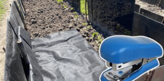 Порада експертів: як позбутися бур'янів за 30 хвилин