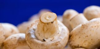 Рецепт ідеального гарніру з грибів на вечерю 