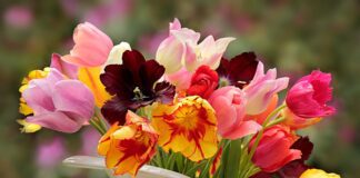 Як правильно доглядати за квітами в вазі