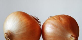 Як садити цибулю навесні