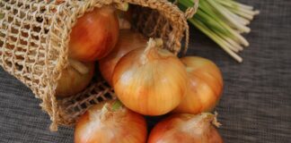 У чому різниця між різними видами цибулею