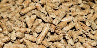 Городник пояснив, як використовувати котячий наповнювач на городі