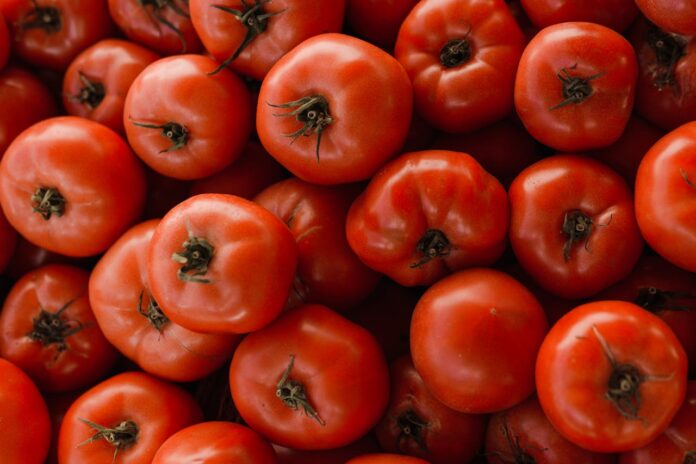 Як виростити міцну розсаду томатів з потужними стеблами: порада експертів