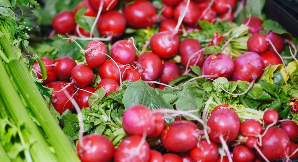 Після сходів також потрібна якісна підгодівля: свекруха-дачниця розповіла про 2 “диво-добрива” для редису 