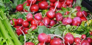 Найкраще добриво для редису після сходів