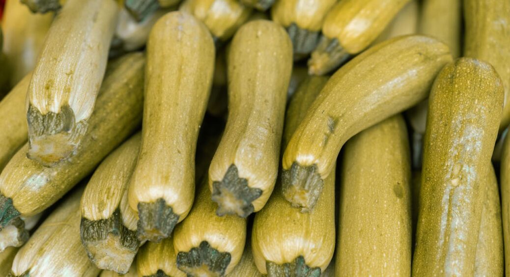 Полийте цим кабачки і виростуть розміром з диню: врожаю буде стільки, що потім консервувати і консервувати 