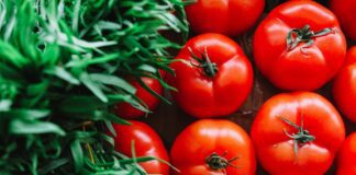 Городники назвали найкраще підживлення для томатів